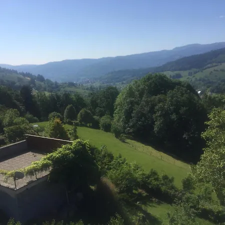 Le Cocon Montagnard Apartment Soultzeren