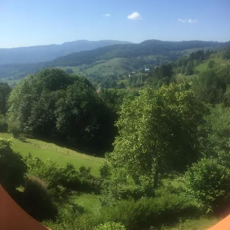 Apartment Le Cocon Montagnard Soultzeren