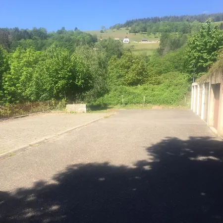 Le Cocon Montagnard Apartment Soultzeren