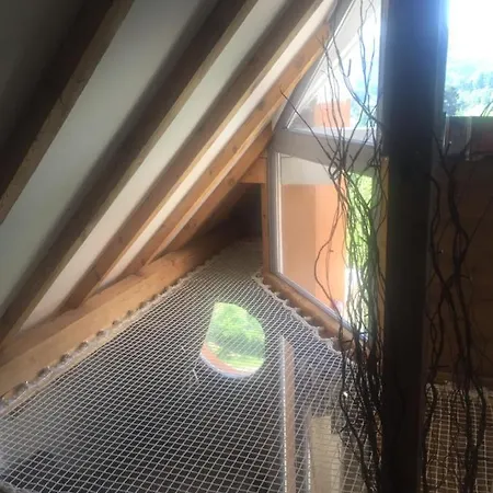 Apartment Le Cocon Montagnard Soultzeren